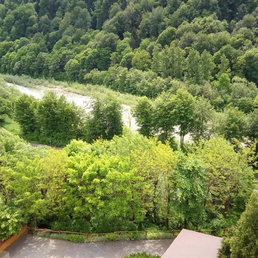 Malyvo Hotel Dilyatyn المظهر الخارجي الصورة